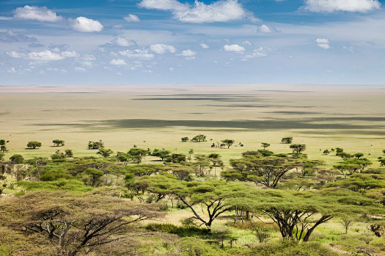 The vast plains of the Serengeti